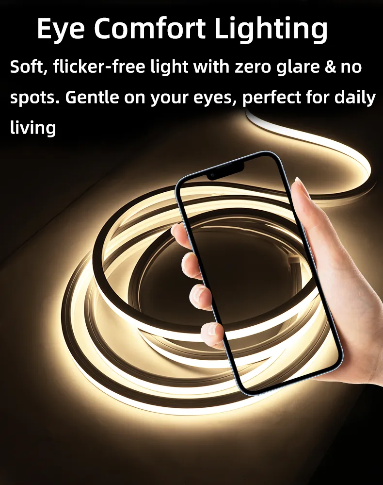 Neon Flex Application 3