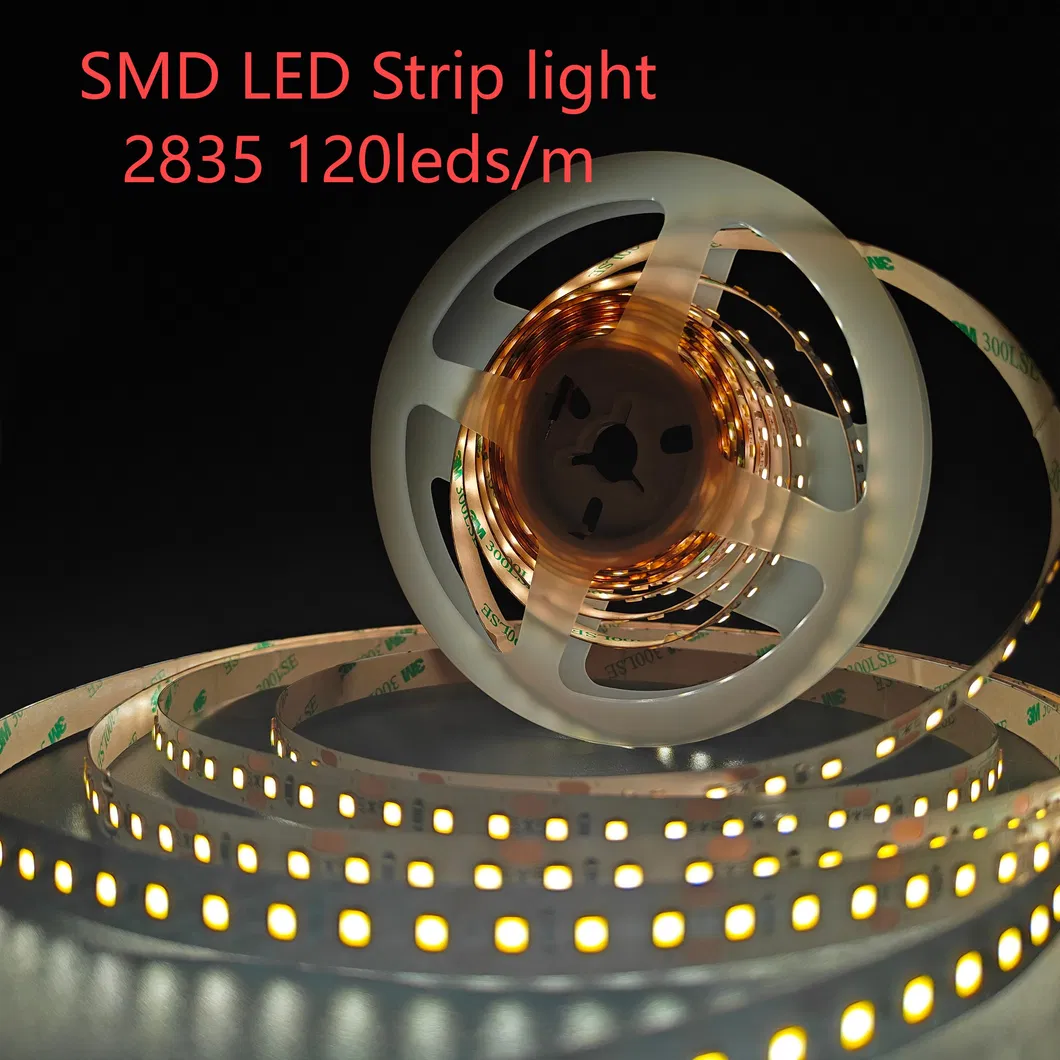 Amusement Rope Light