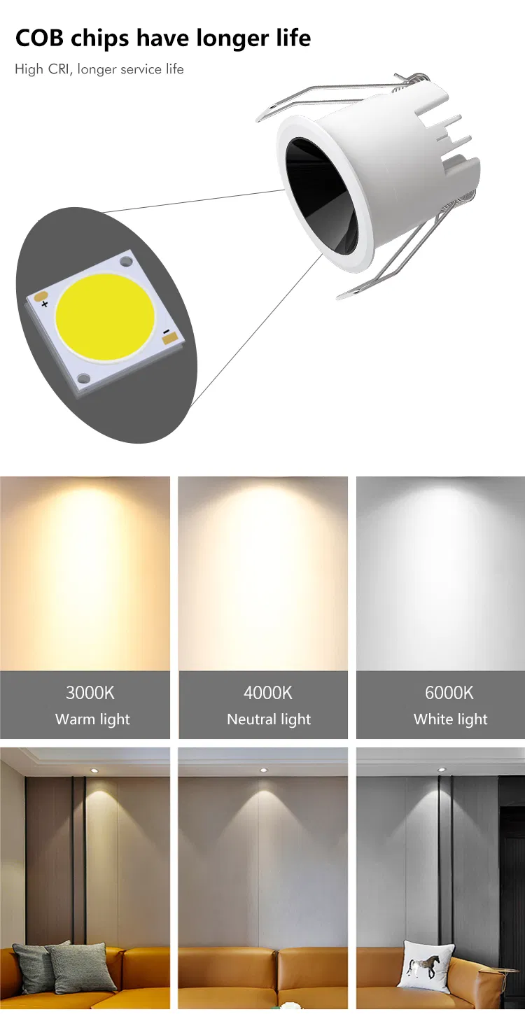 LED Downlight View 8