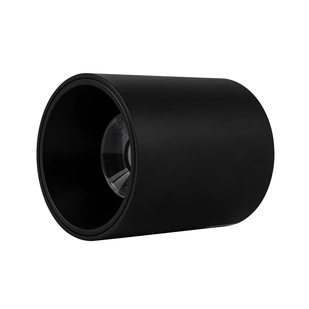 Aluminum COB Downlight 2