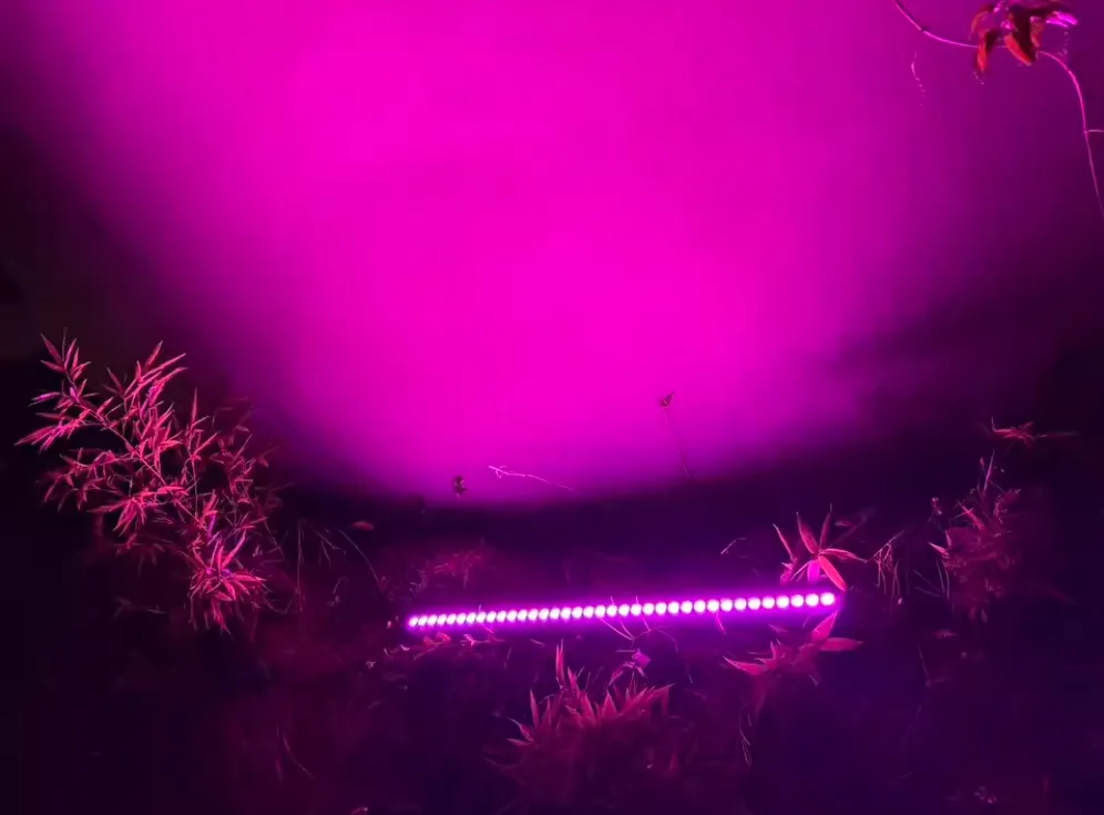 Application Effect 1