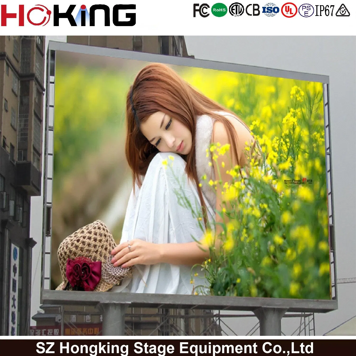 Outdoor Full Color SMD P5/P6/P4 Fixed Install LED Display Billboard