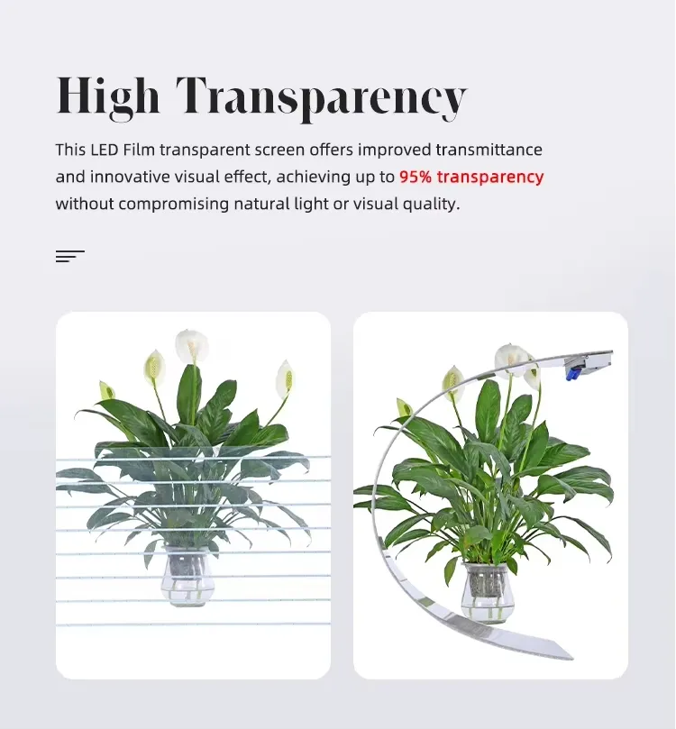 Transparent LED Display 4