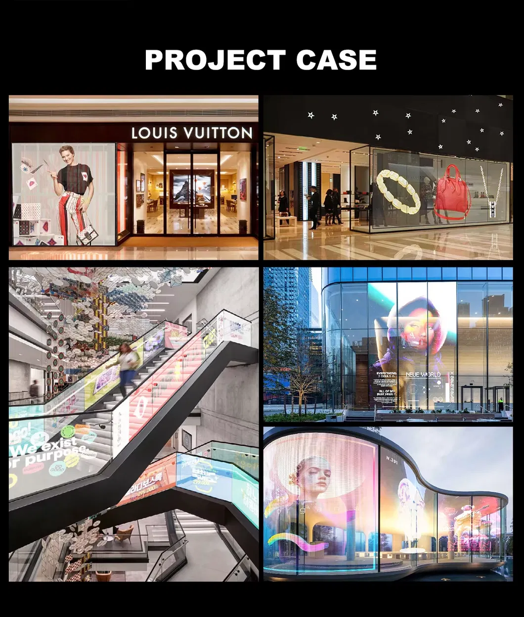 Project Case Display