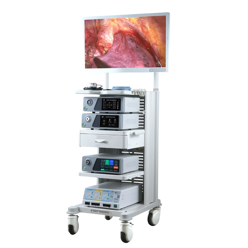 Premium 5mm and 10mm Laparoscopic Instruments with 0 and 30 Degree Angles