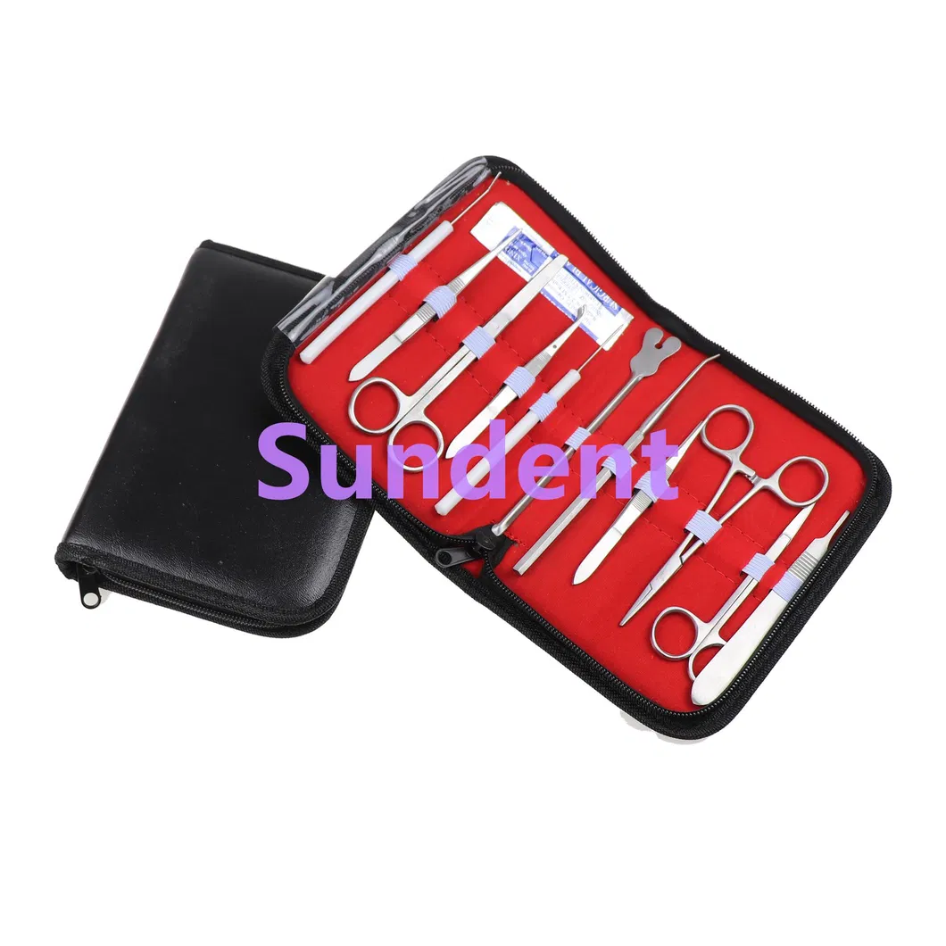 Dental Surgical Instruments Kit 2