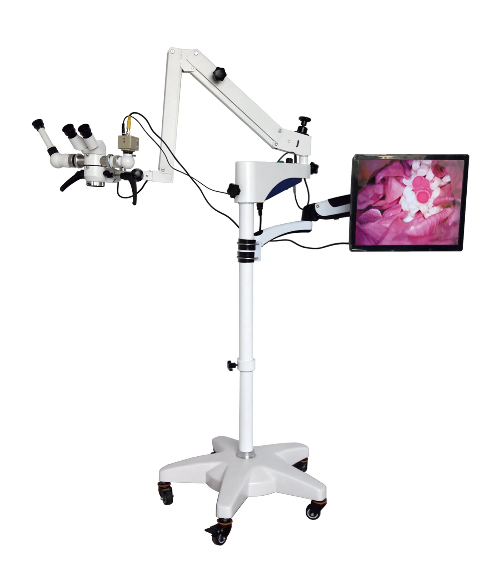 Medmount Medical Lightweight Stable Reliable Large Fov High-Quality High-Definition Digital Camera Surgical Microscope