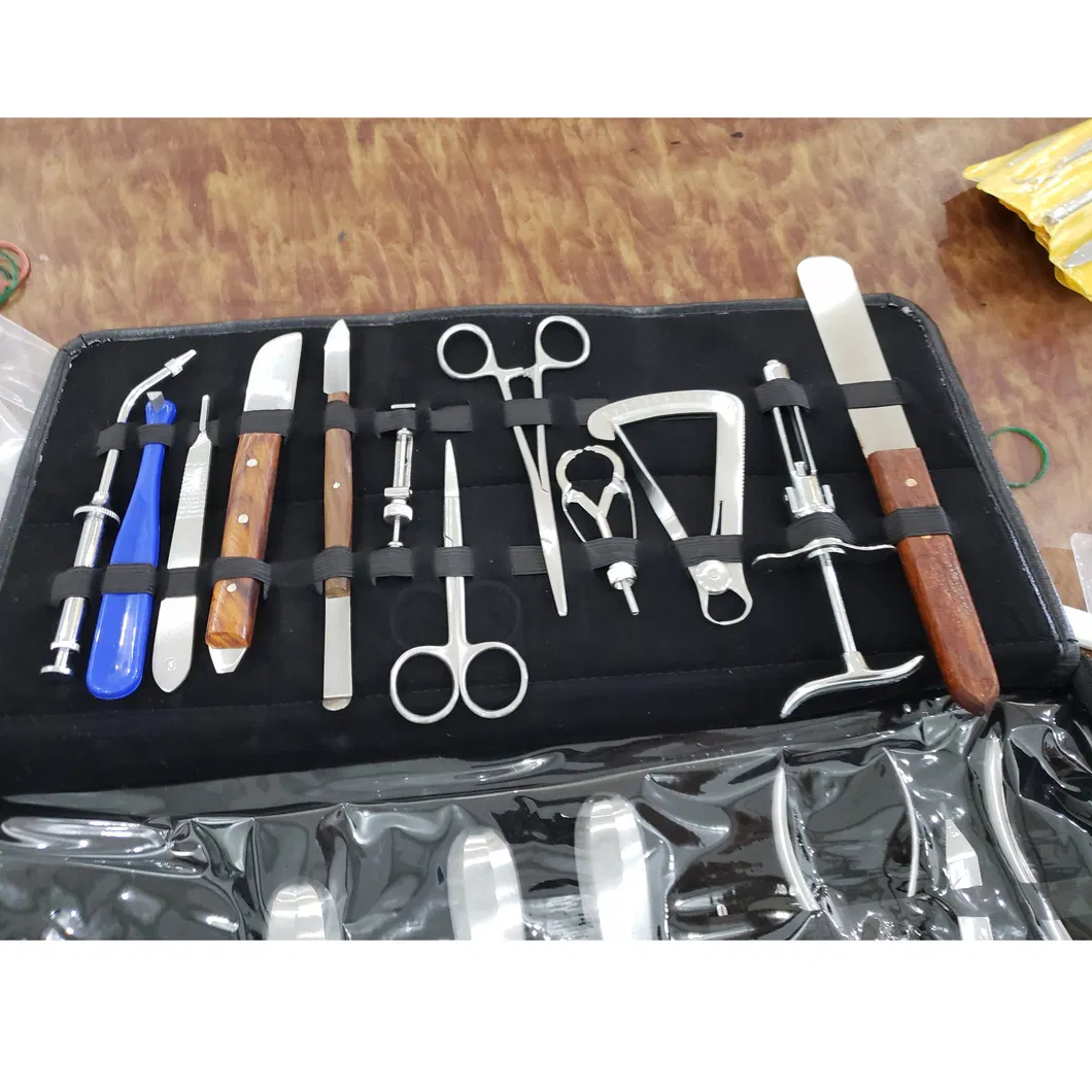 Dental Instrument Set 1