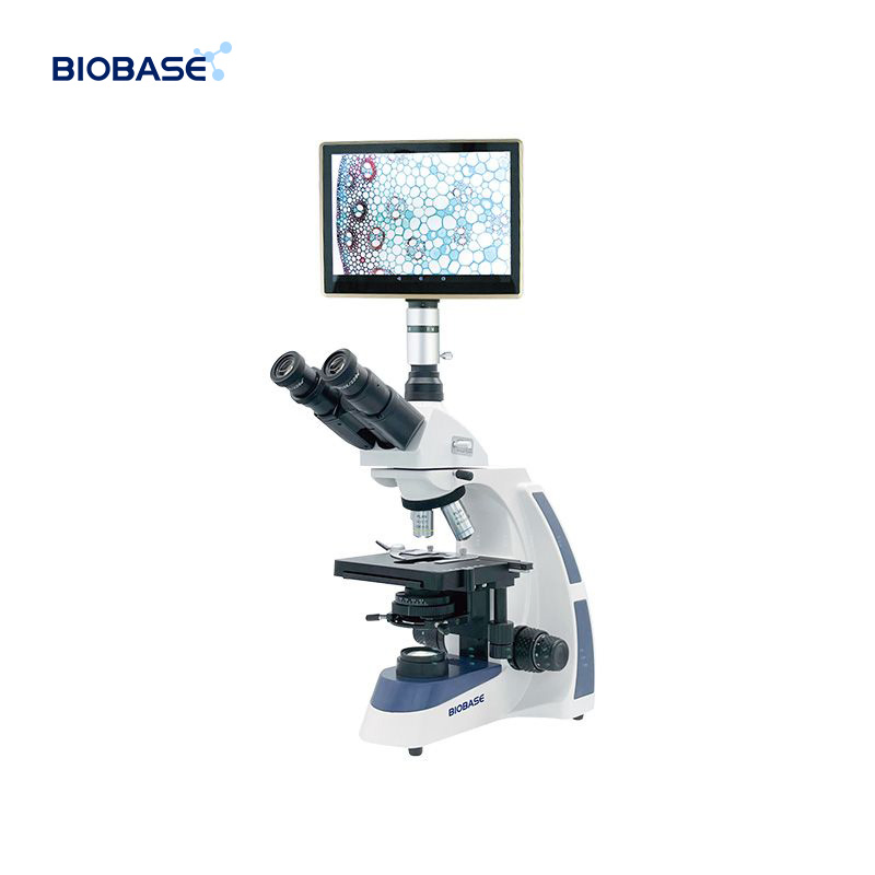 Biobase China Factory Price Biological Binocular Microscope for Laboratory