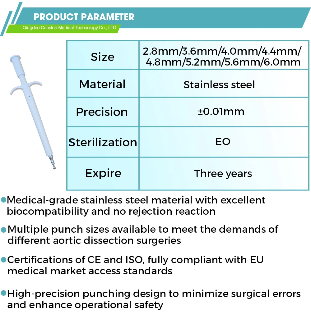 Aortic Punch Detail 1