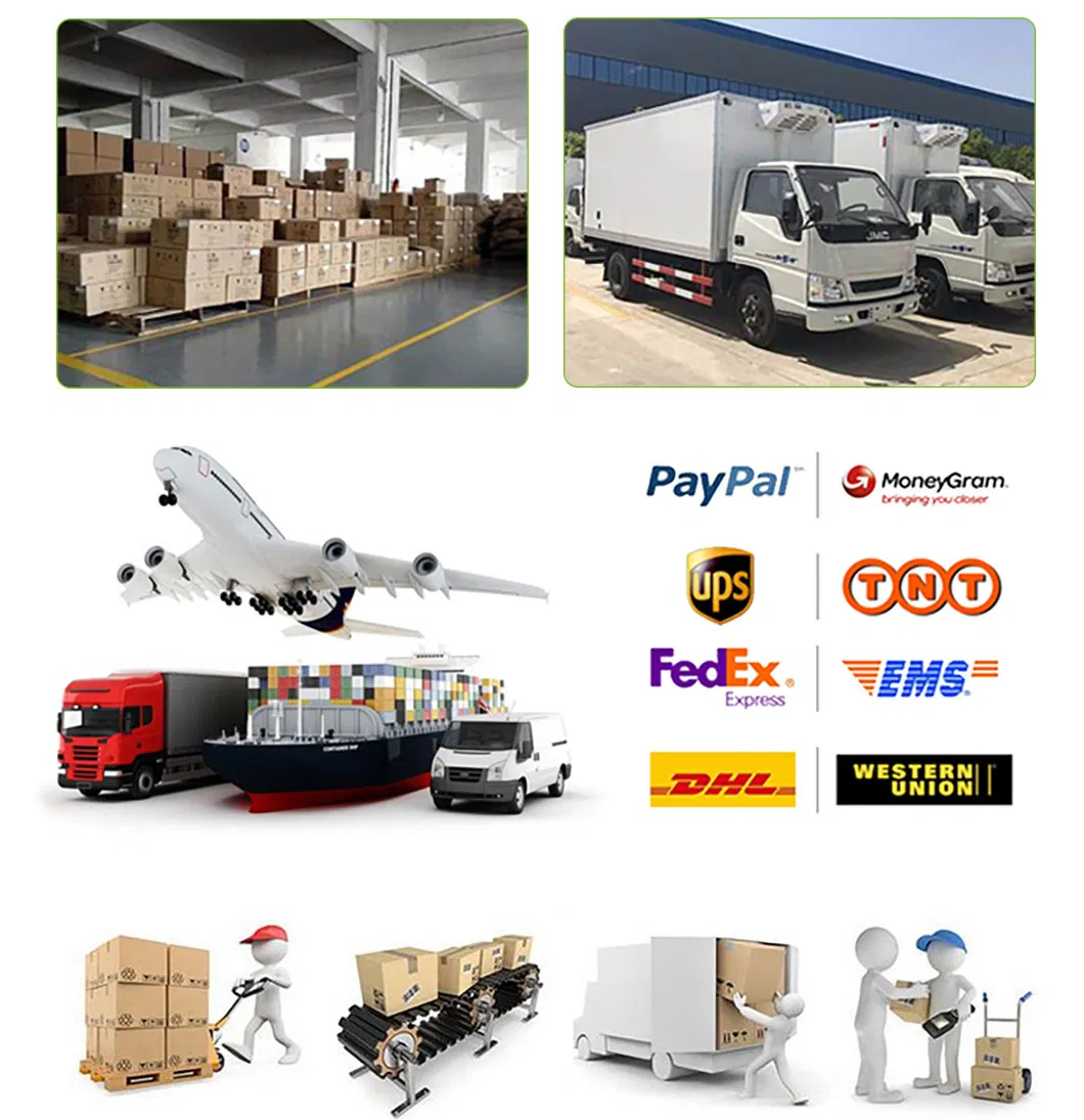 Aortic Punch Detail 8