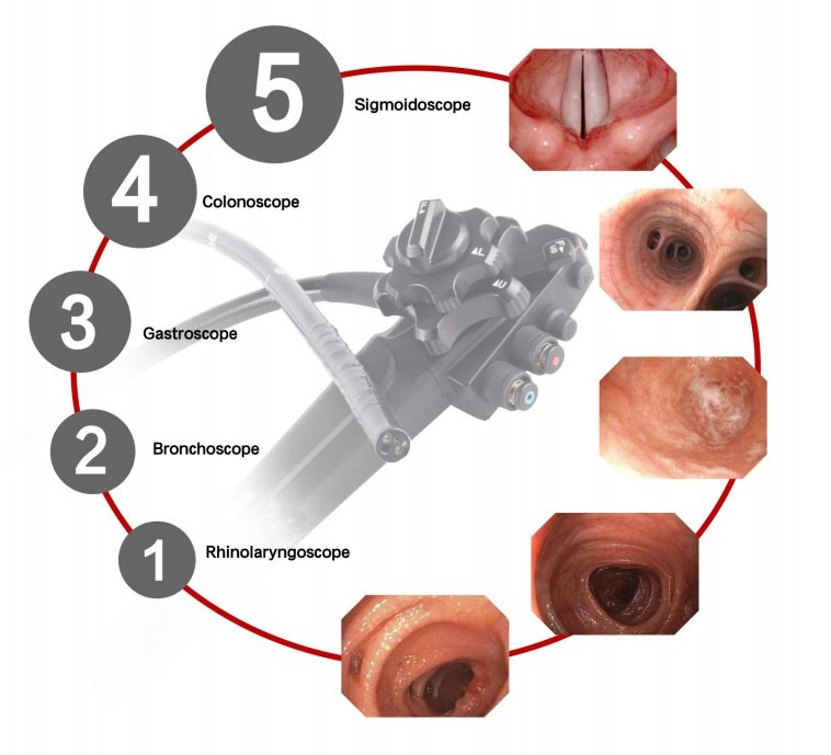 Latest Video Endoscopes System Cold Light Source Awb Medical Ent Surgical Instruments