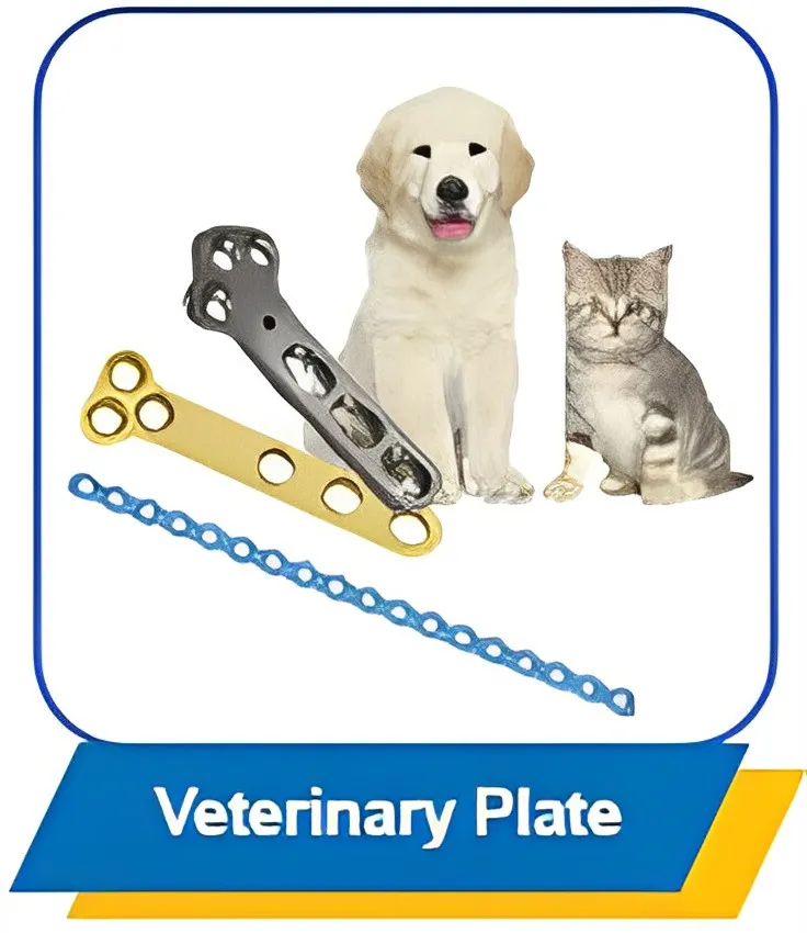 Veterinary System
