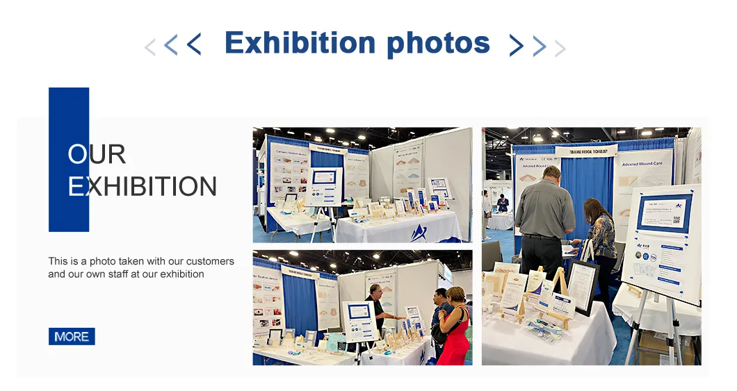 Exhibition Presence