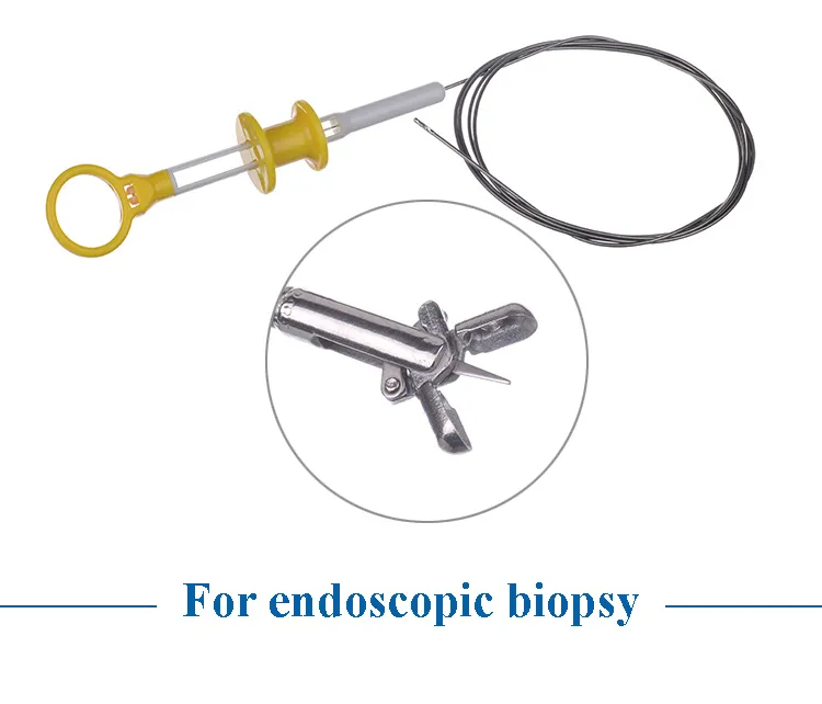 Endoscope Biopsy Needle View 4