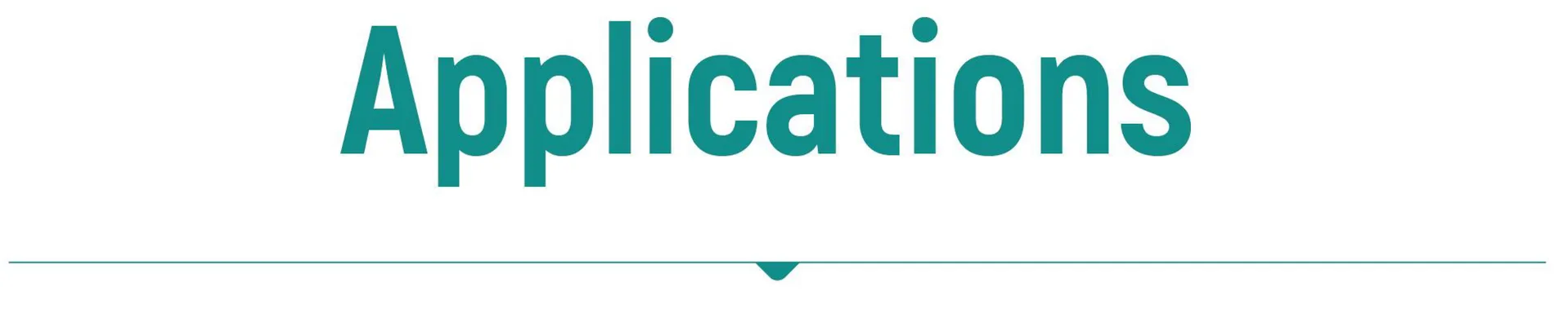 Retrieval Bag Detail 1