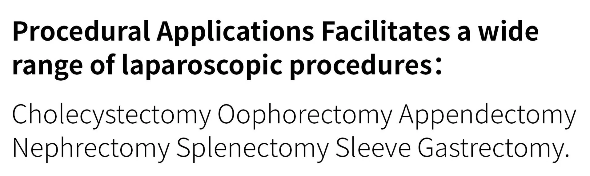 Retrieval Bag Detail 2