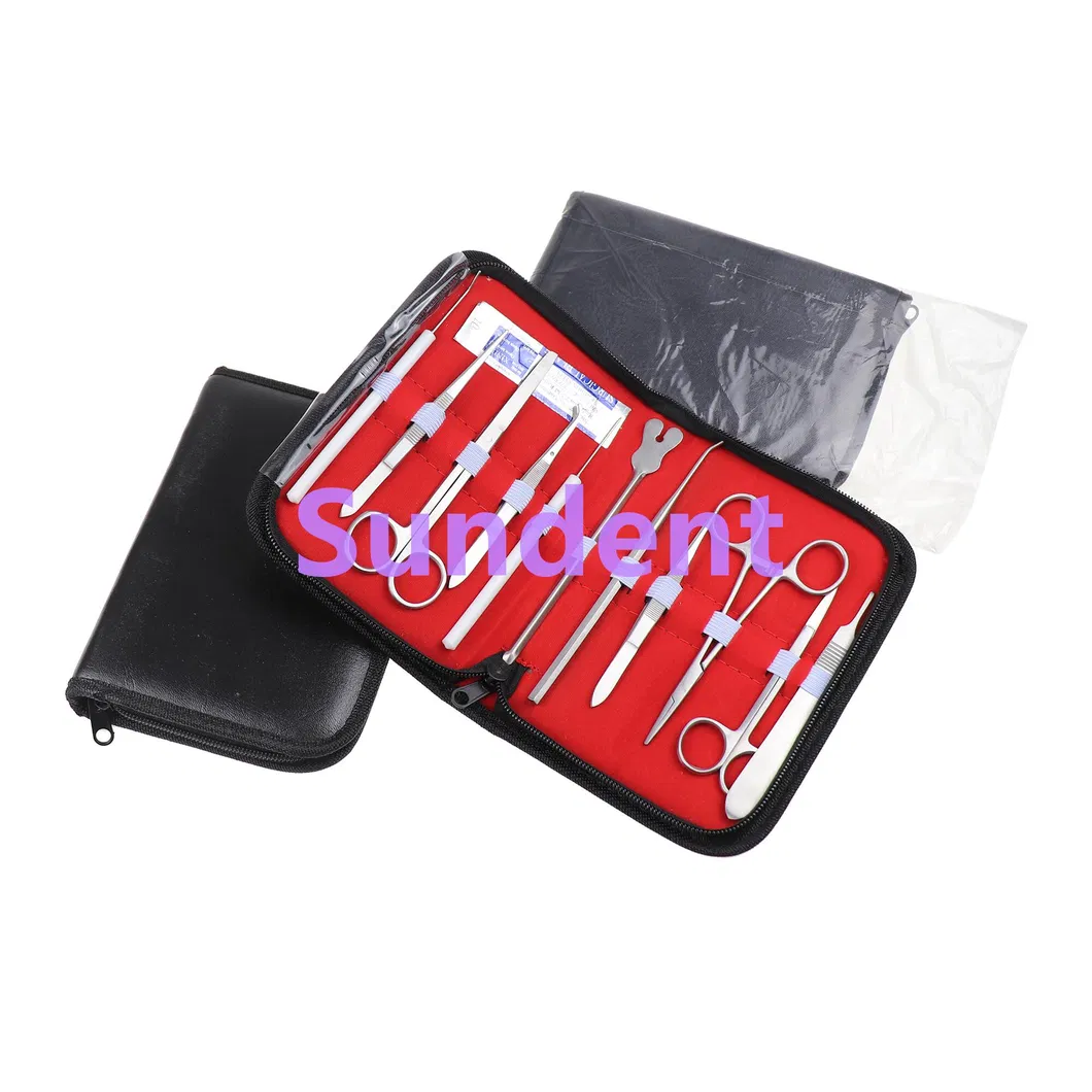 Dental Surgical Instruments Kit 3
