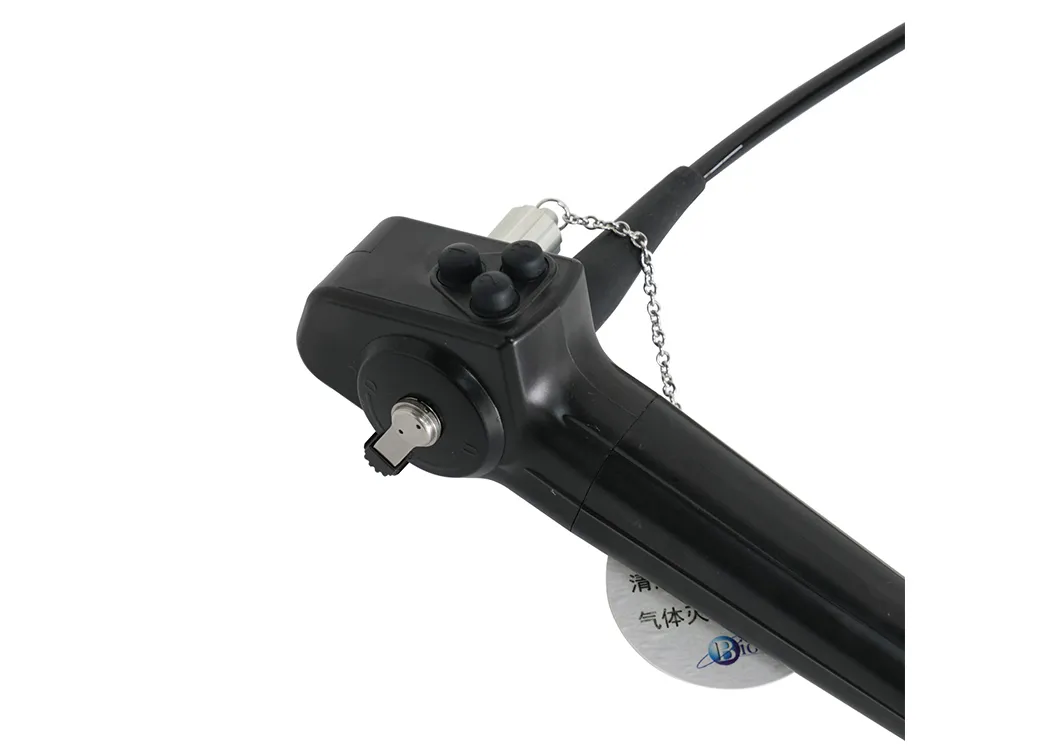 Ureteropyeloscopy Urs Instrument