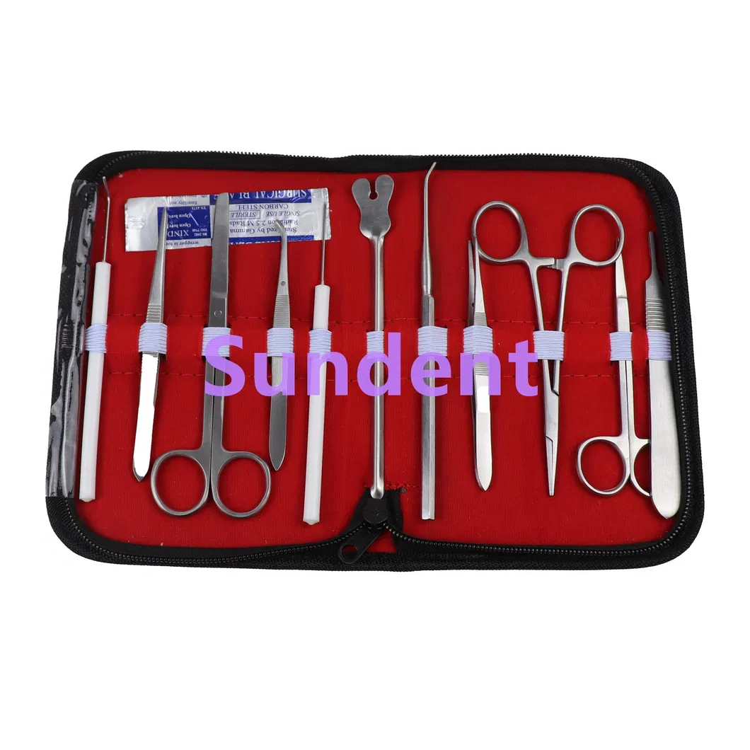 Dental Surgical Instruments Kit 6
