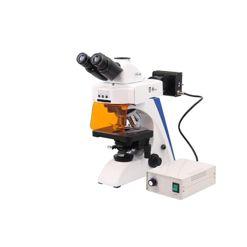 Microscope L101 Trinocular DIY Fluorescence Microscope for Stagewith Competitive Price