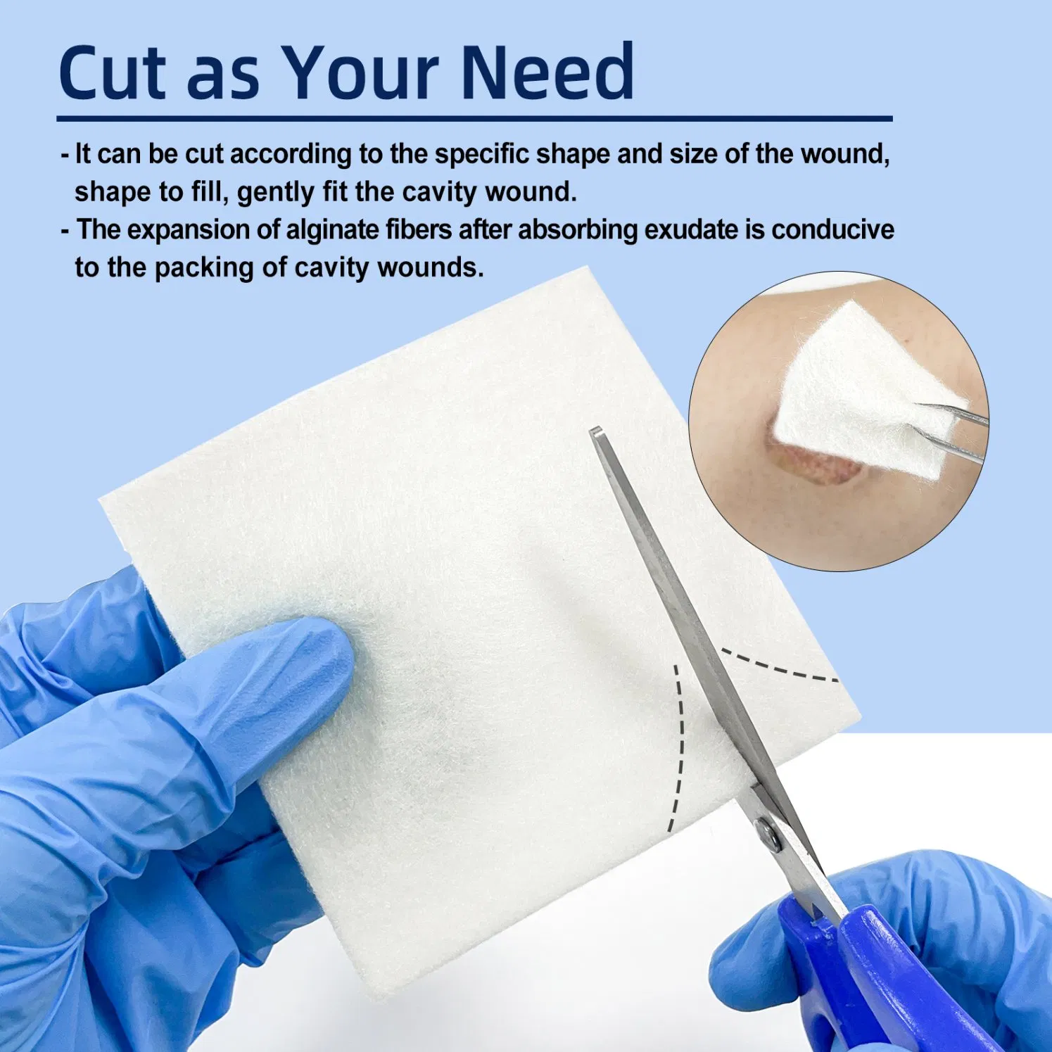 Alginate Dressing Detail 2