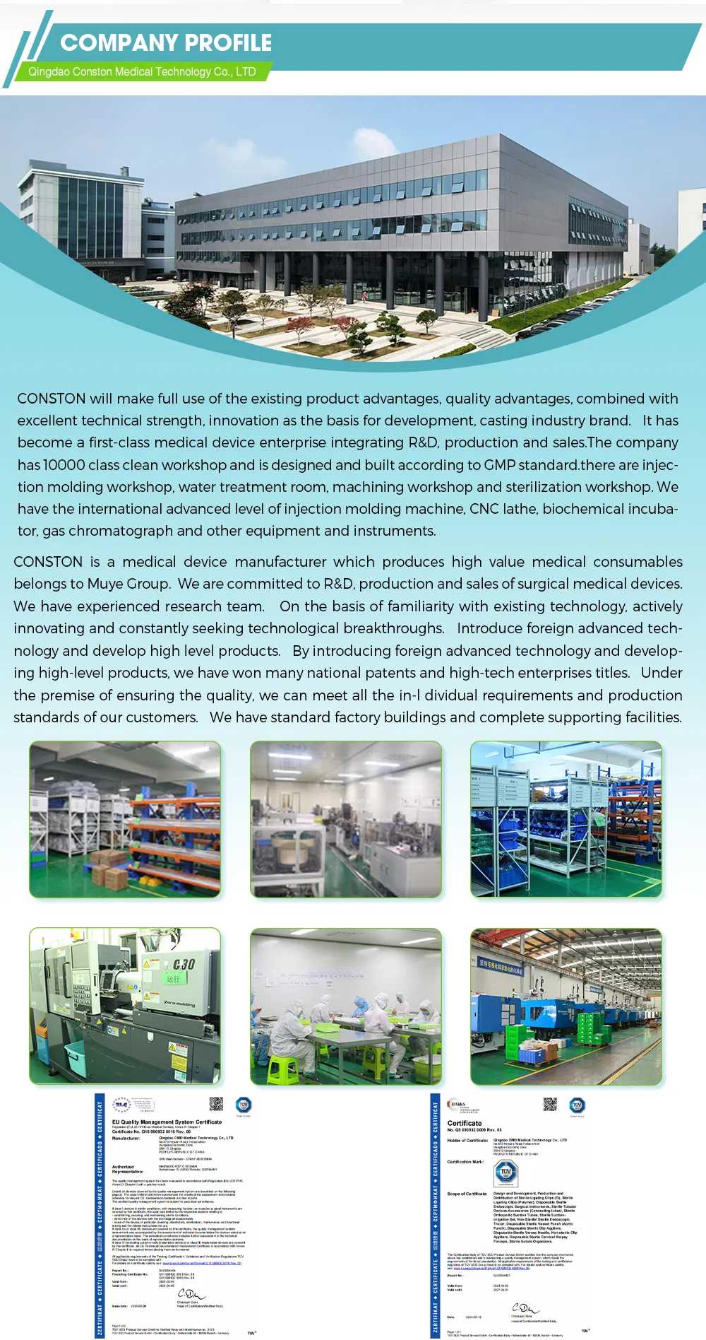 Aortic Punch Detail 5