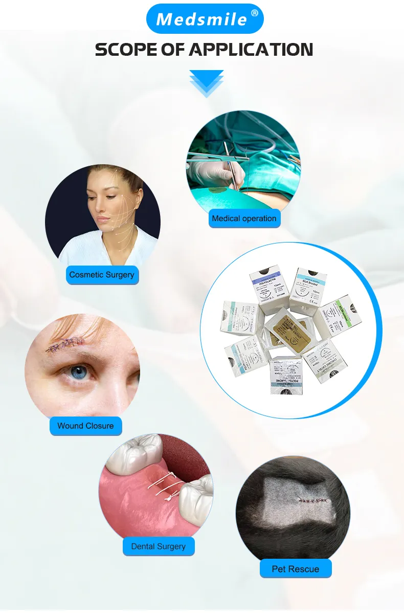 Surgical Suture Detail 11