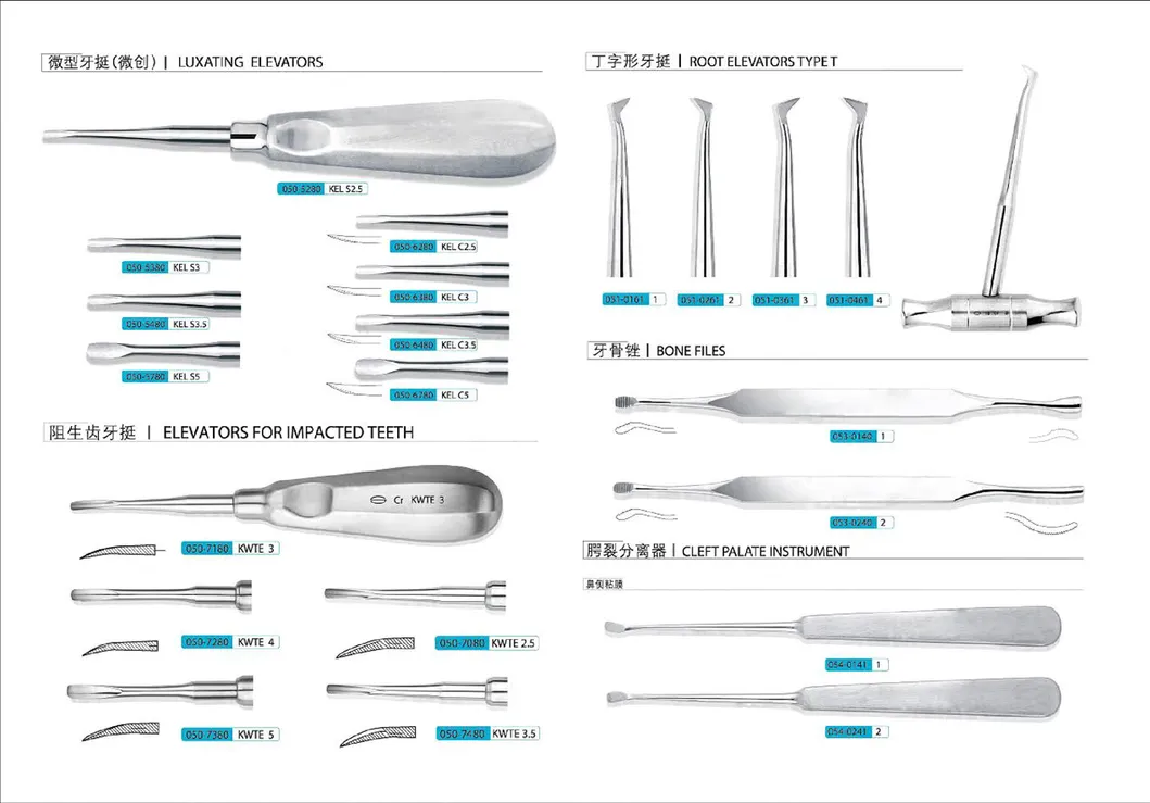 Dental Instrument Detail