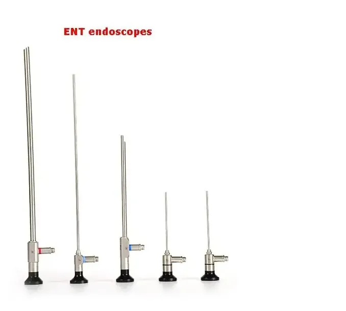 Endoscope Image 3