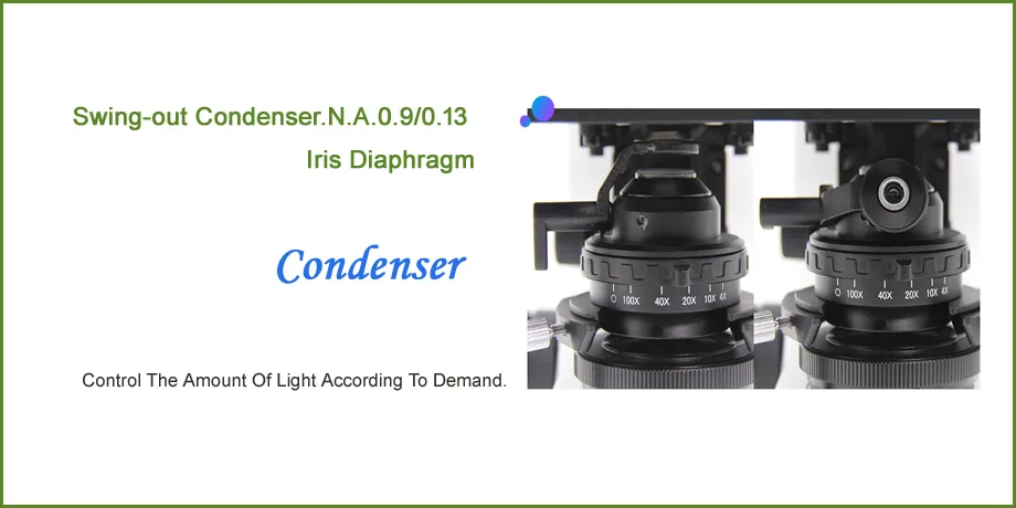 Fluorescence Microscope View 4