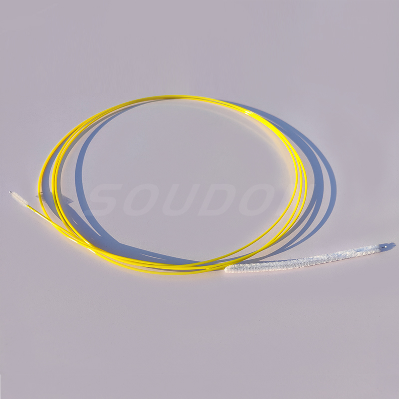 Multi Shapes and Double Head Medical Endoscope Disposable Cleaning Brush with CE FDA