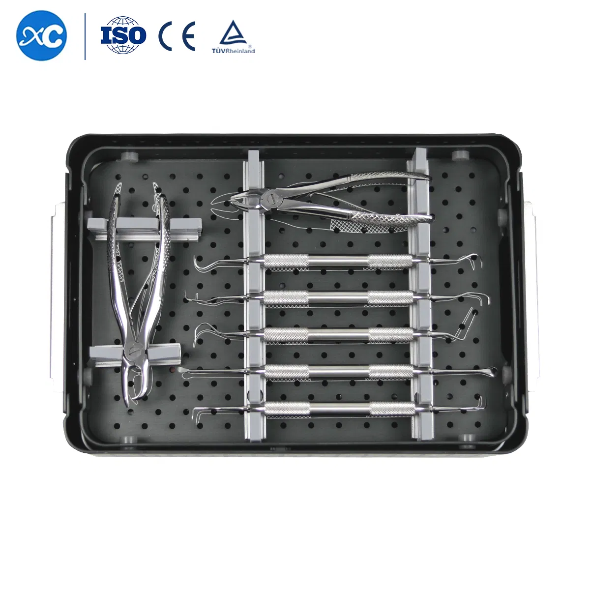 Vet General Surgical Dental Instrument Kit Veterinary Dentistry Oral Instruments