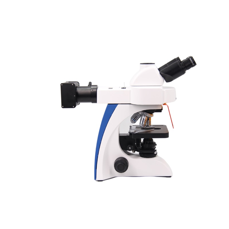 Microscope L101 Trinocular DIY Fluorescence Microscope for Stagewith Competitive Price