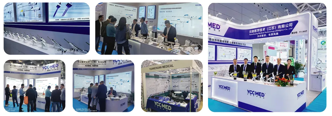 Professional Exhibition