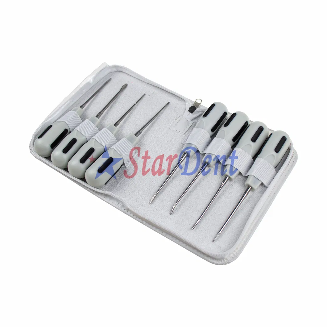 Dental Root Lifter 1