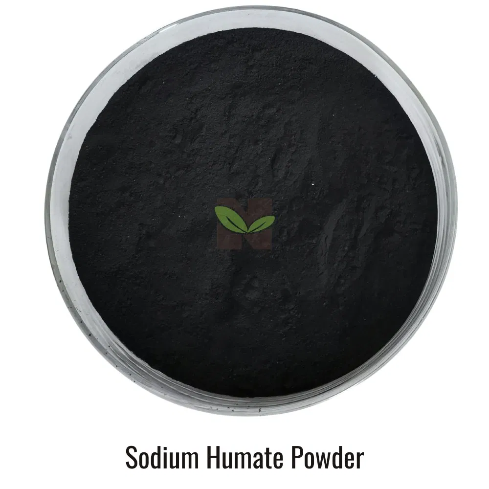 Water Improver Green Eco-Friendly Sodium Humate for Aquatic Animals