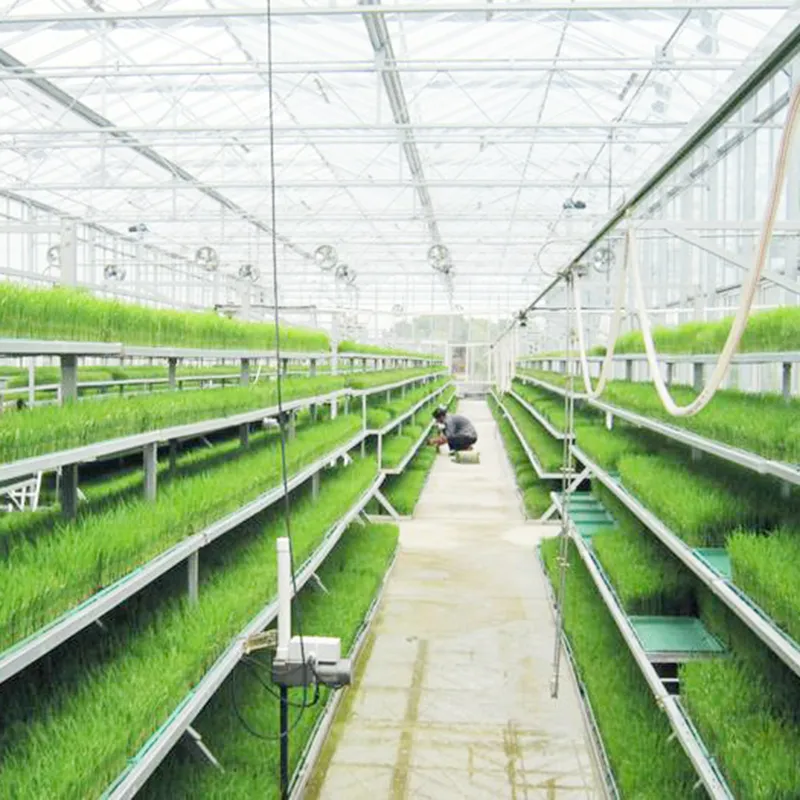 Hydroponic Component 3