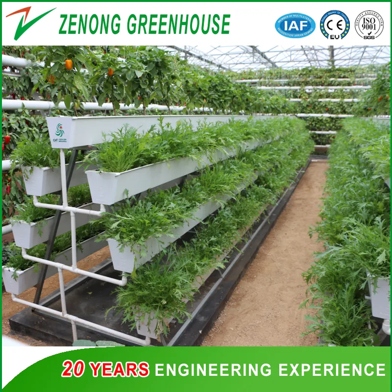 Hydroponic System View 5