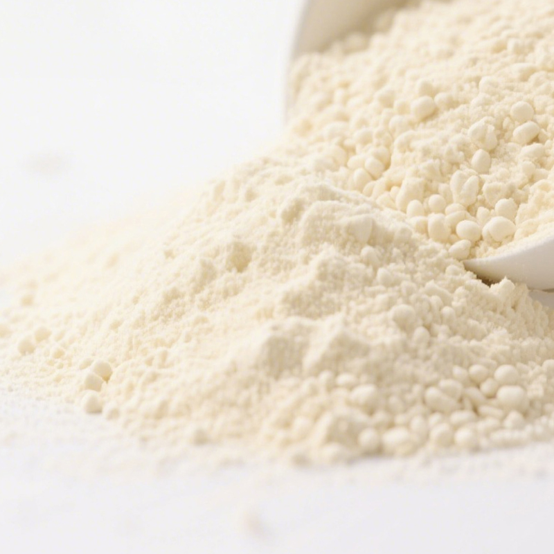 Gluten-Free Organic Soy Milk Powder - Non-GMO, Instant &amp; Pure Nutrition with High Protein