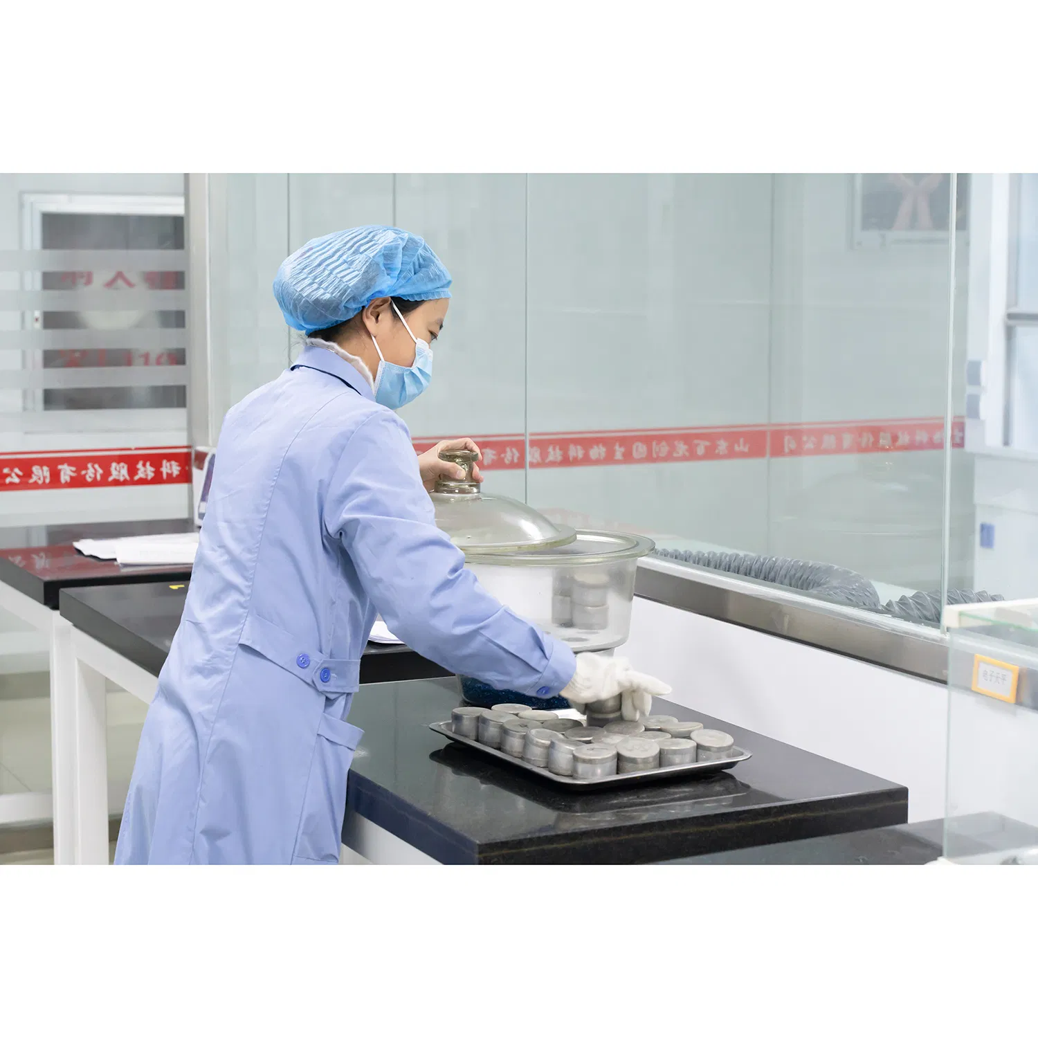 Stachyose Powder – Functional Oligosaccharide for Food and Nutritional Supplement Use