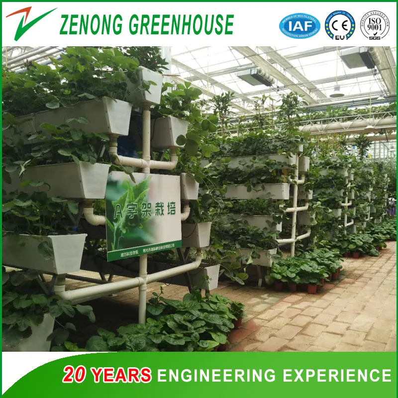 Hydroponic System View 6