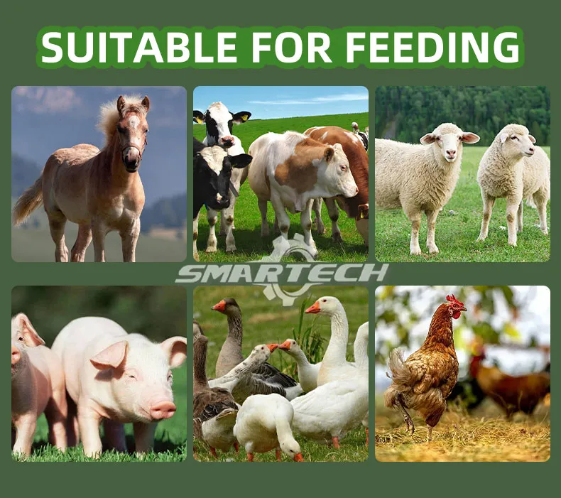 Chaff Cutter Application