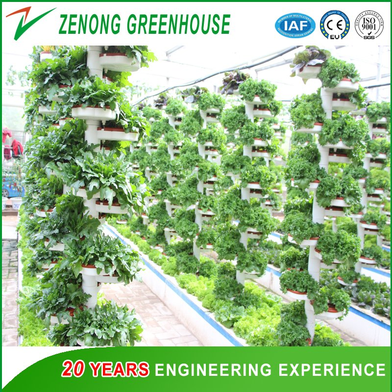 Bionic Spirally-Coiling Model Hydroponics System for Leafy Vegetables for Sale