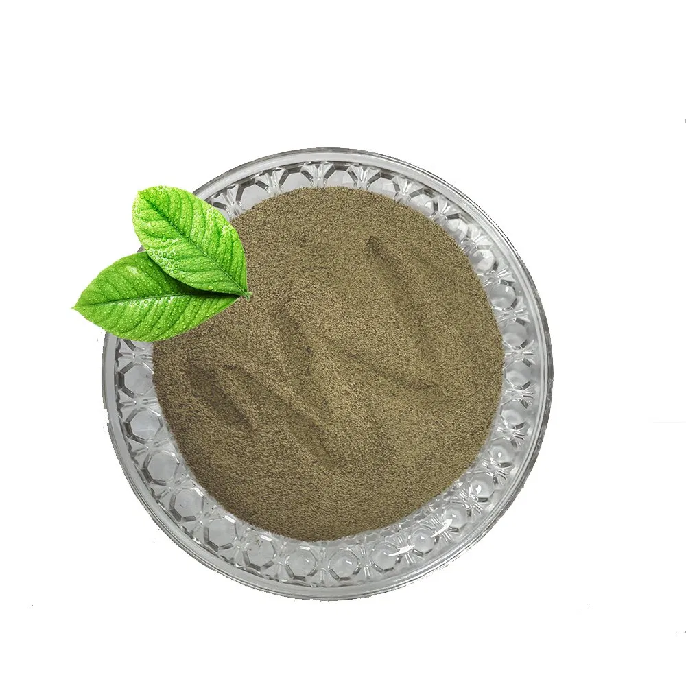 Top Grade Single Cell Protein Mycoprotein 70%Promote Animals Growth