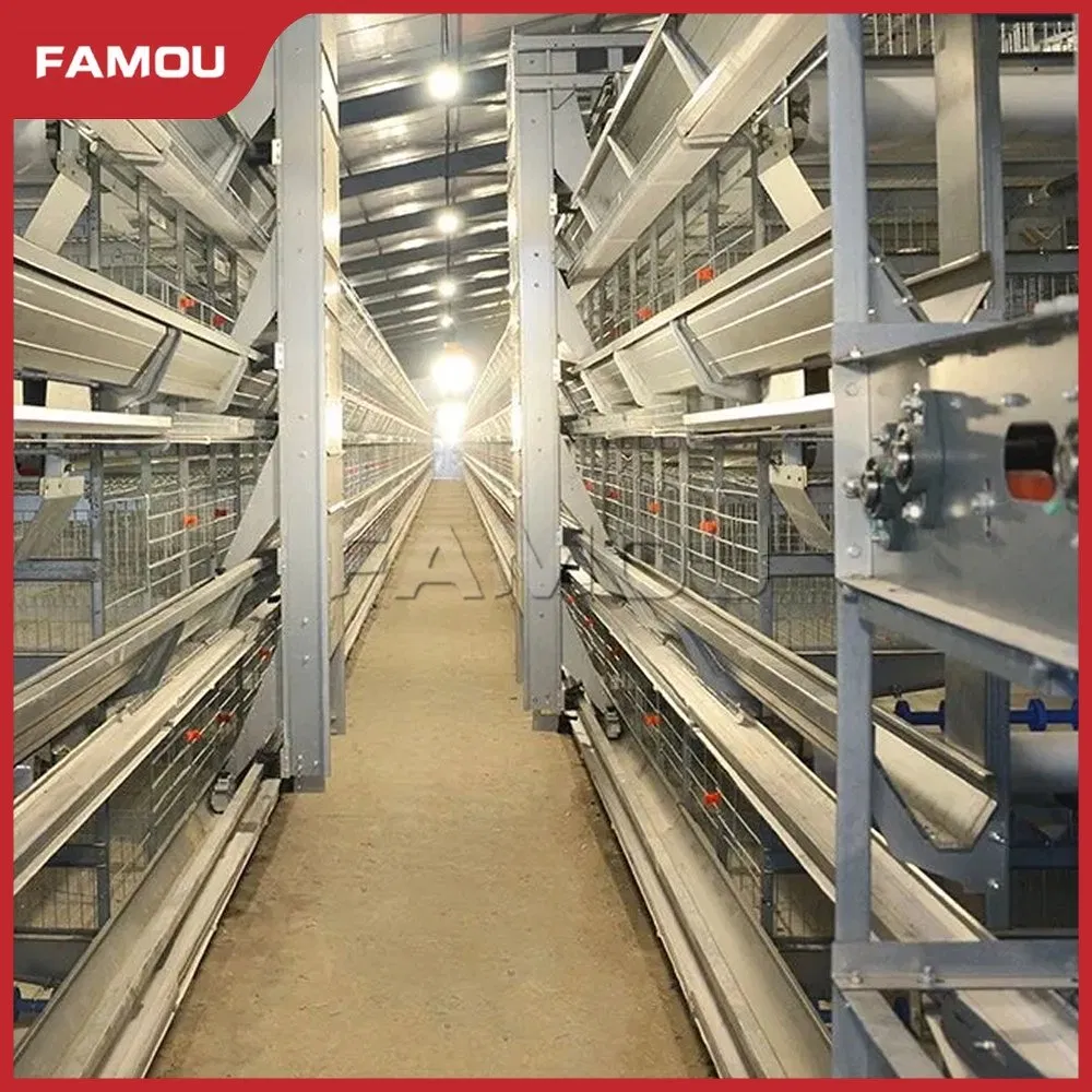 Adjustable H-Type Poultry Auger Feeding System for Efficient Livestock Nutrition