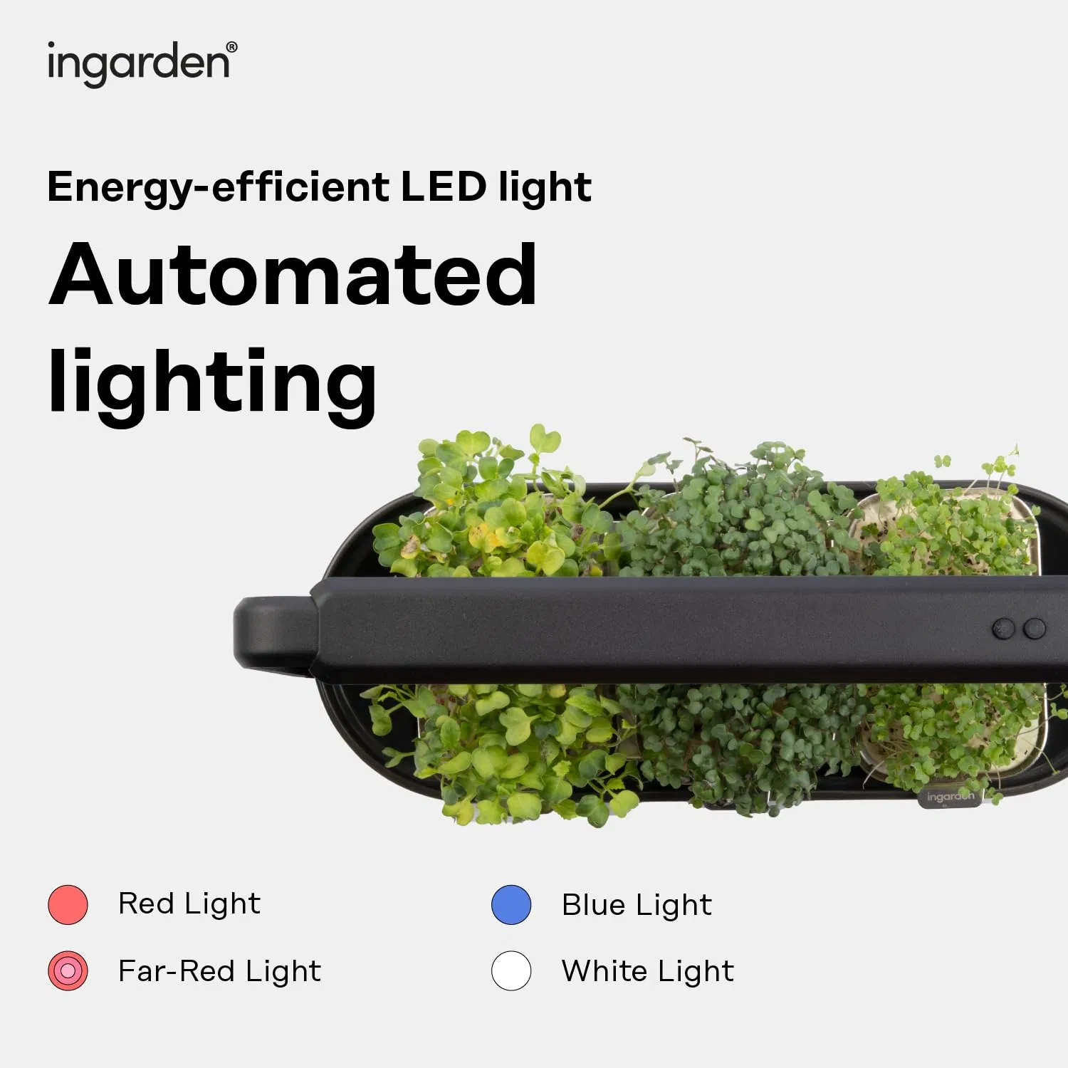 Ingarden Organic Superfood Sprouting Seed Pads Auto 4-Stage LED Grow Lights &amp; Hydroponic Watering System Microgreens Growing Kit