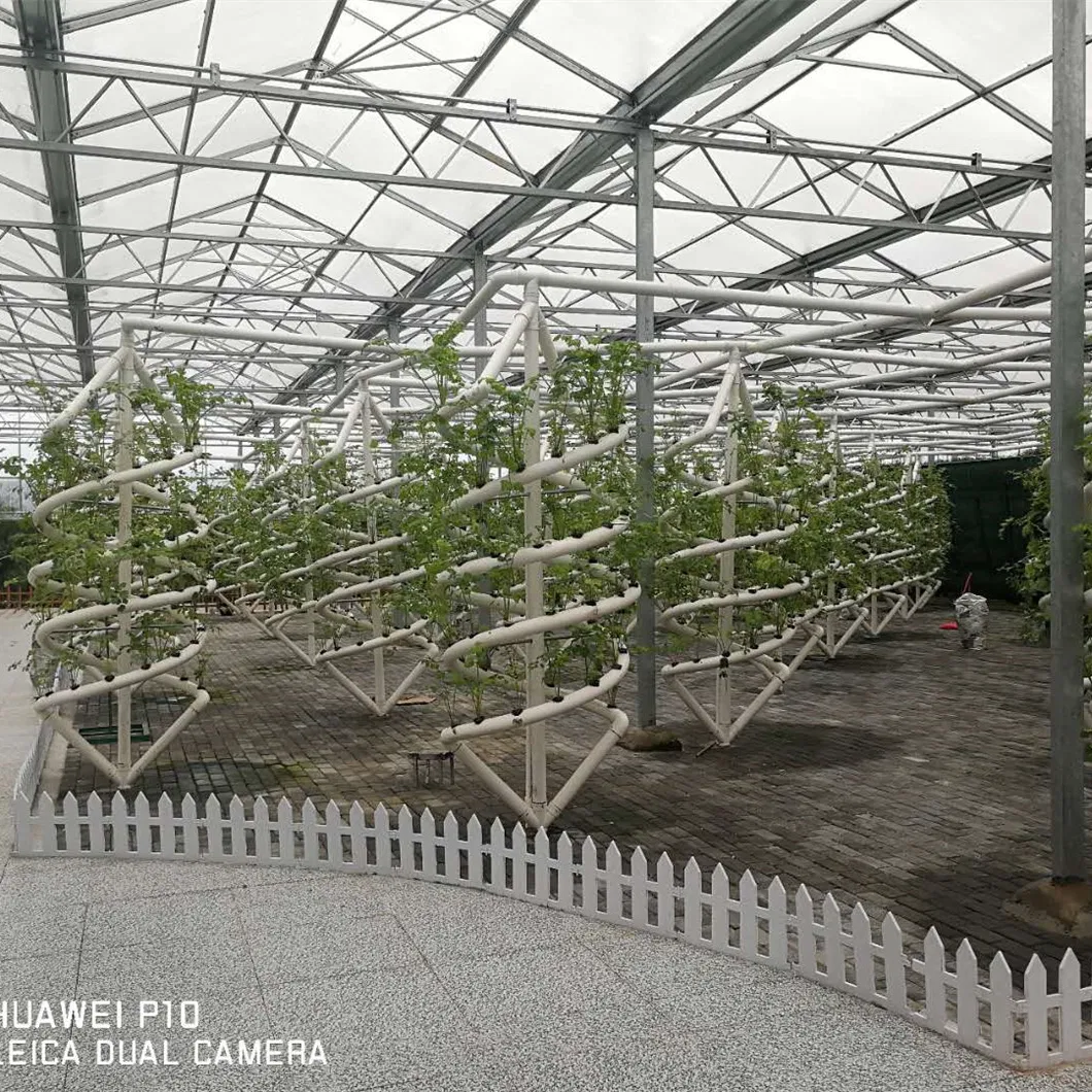 Hydroponics System 3