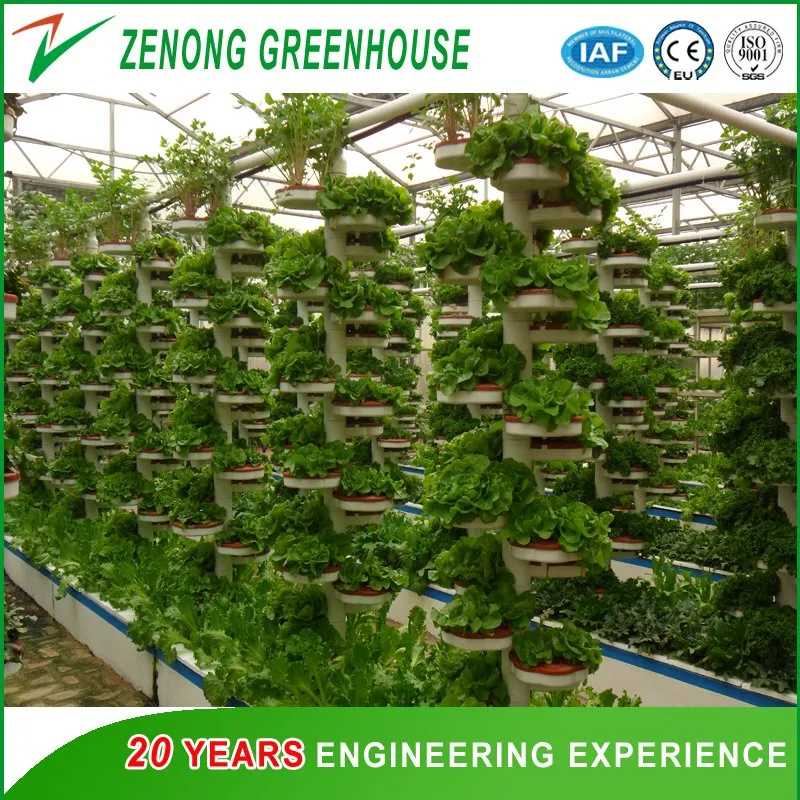 Bionic Spirally-Coiling Model Hydroponics System for Leafy Vegetables for Sale