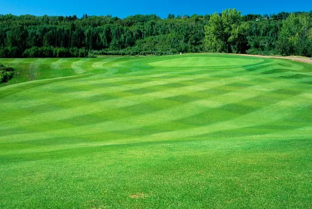 Zeolite Application 1